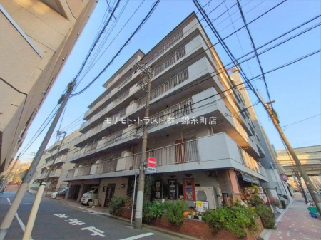 ���n�O�ώʐ^ �B�e��(2026-01-13 00:00:00)