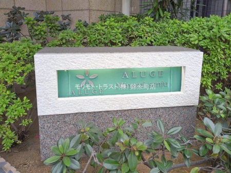 ���n�O�ώʐ^ �B�e��(2026-01-20 00:00:00)