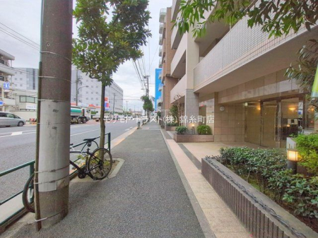 ���n�O�ώʐ^ �B�e��(2026-01-20 00:00:00)