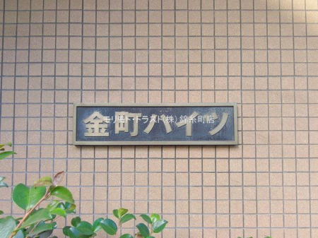 ���n�O�ώʐ^ �B�e��(2026-01-20 00:00:00)