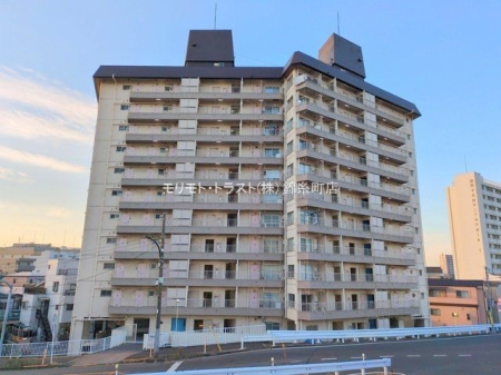 ���n�O�ώʐ^ �B�e��(2025-01-15)