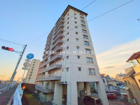 ���n�O�ώʐ^ �B�e��(2025-01-15 00:00:00)