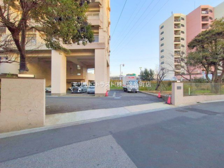 ���n�O�ώʐ^ �B�e��(2025-01-15 00:00:00)