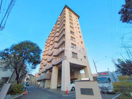 ���n�O�ώʐ^ �B�e��(2025-01-15 00:00:00)