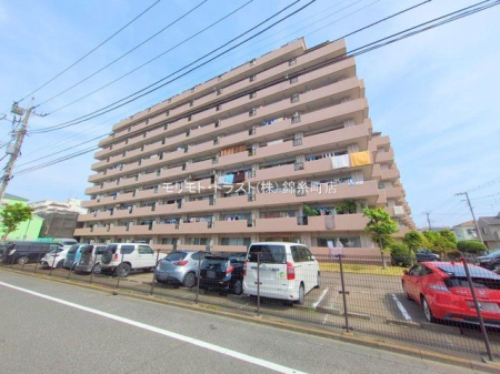 ���n�O�ώʐ^ �B�e��(2025-05-21 00:00:00)