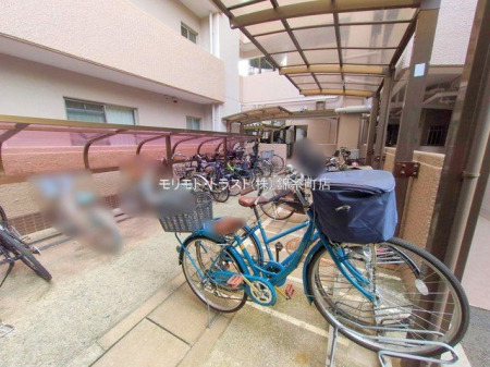 ���n�O�ώʐ^ �B�e��(2025-05-21 00:00:00)