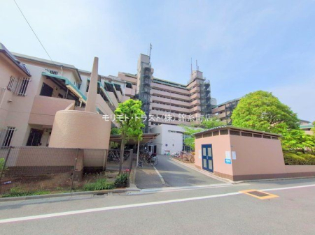 ���n�O�ώʐ^ �B�e��(2025-05-21)