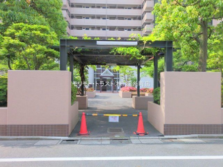 ���n�O�ώʐ^ �B�e��(2025-05-21 00:00:00)