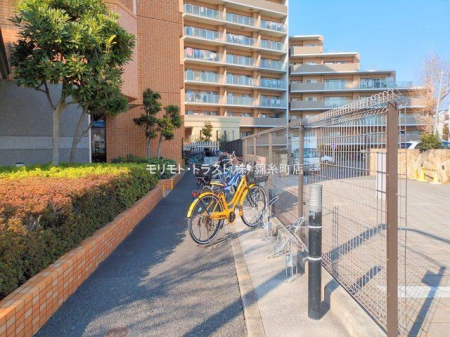 ���n�O�ώʐ^ �B�e��(2025-01-24 00:00:00)