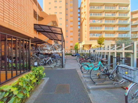 ���n�O�ώʐ^ �B�e��(2025-01-24 00:00:00)