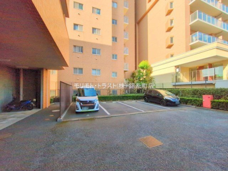 ���n�O�ώʐ^ �B�e��(2025-01-24 00:00:00)