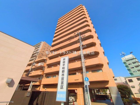 ���n�O�ώʐ^ �B�e��(2025-01-24 00:00:00)