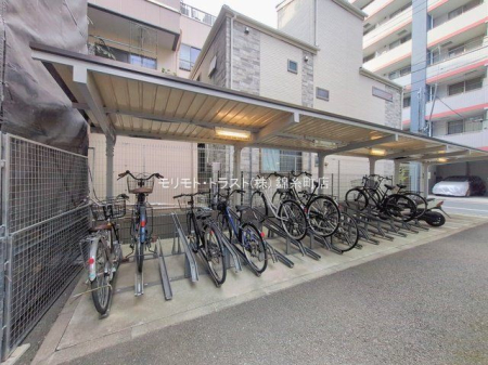 ���n�O�ώʐ^ �B�e��(2026-01-29 00:00:00)