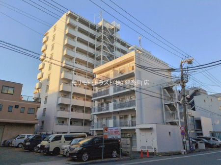 ���n�O�ώʐ^ �B�e��(2026-01-28)