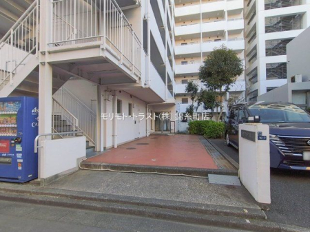 �G���g�����X �B�e��(2026-01-28)