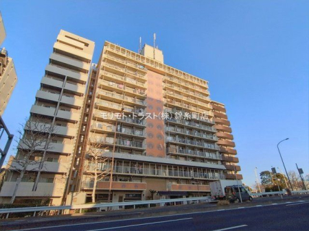 ���n�O�ώʐ^ �B�e��(2026-01-30 00:00:00)