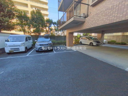 ���n�O�ώʐ^ �B�e��(2026-02-03 00:00:00)