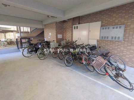 ���n�O�ώʐ^ �B�e��(2026-02-03 00:00:00)