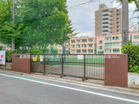 ���ӊ� �����旧�哹���w�Z �B�e��(2022-06-23) 300m