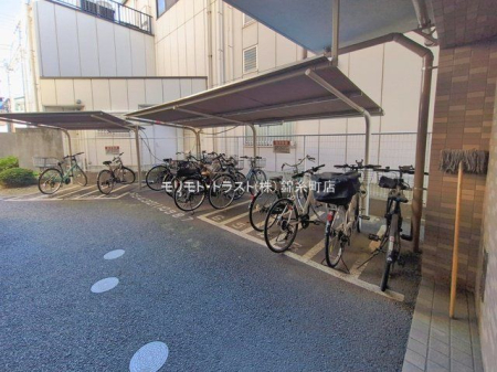 ���n�O�ώʐ^ �B�e��(2026-02-03 00:00:00)