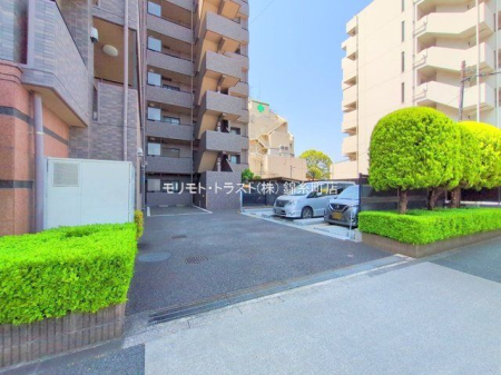 ���n�O�ώʐ^ �B�e��(2025-05-20 00:00:00)