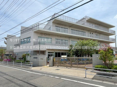 ���ӊ� �����旧���l�ܐF�����w�Z �B�e��(2024-04-26) 790m