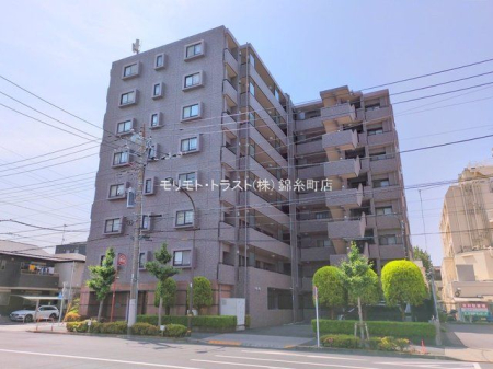 ���n�O�ώʐ^ �B�e��(2025-05-20)