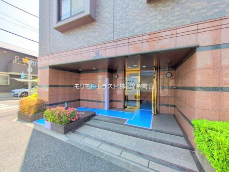 �G���g�����X �B�e��(2025-05-20 00:00:00)