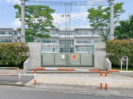 ���ӊ� �����旧�������w�Z �B�e��(2023-05-11) 640m