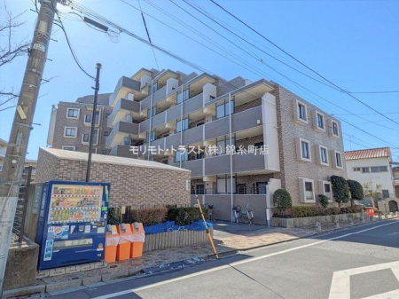 ���n�O�ώʐ^ �B�e��(2026-02-09 00:00:00)