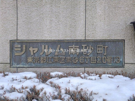 ���n�O�ώʐ^ �B�e��(2026-02-09 00:00:00)