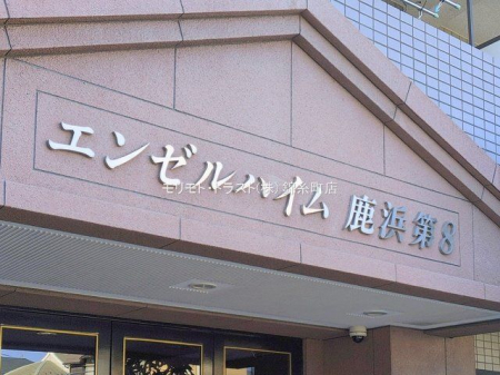 �G���g�����X �B�e��(2026-02-03 00:00:00)