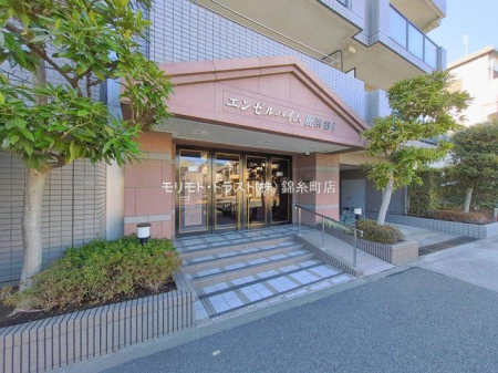 �G���g�����X �B�e��(2026-02-03)