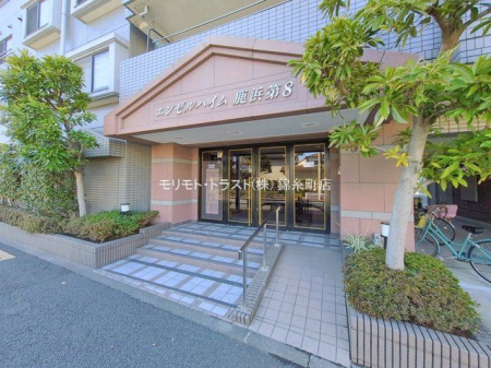 �G���g�����X �B�e��(2026-02-03 00:00:00)