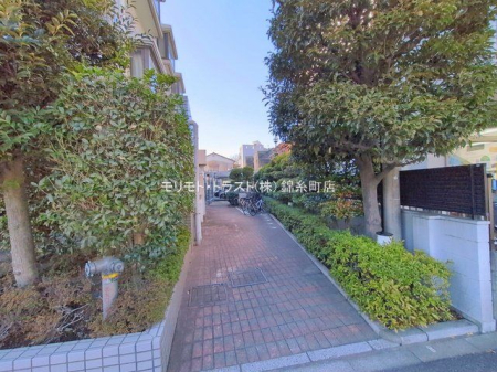 ���n�O�ώʐ^ �B�e��(2026-02-03 00:00:00)