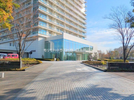 ���n�O�ώʐ^ �B�e��(2025-12-11 00:00:00)