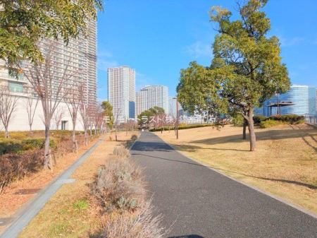 ���n�O�ώʐ^ �B�e��(2025-12-11 00:00:00)