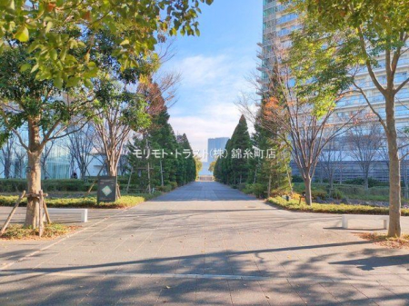 ���n�O�ώʐ^ �B�e��(2025-12-11 00:00:00)