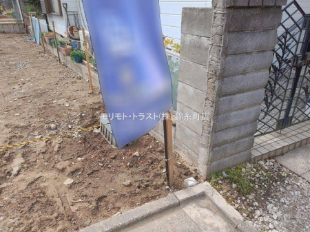 ���n�y�n�ʐ^ �B�e��(2026-02-20 00:00:00)