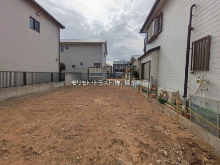 ���n�y�n�ʐ^ �B�e��(2026-02-20 00:00:00)