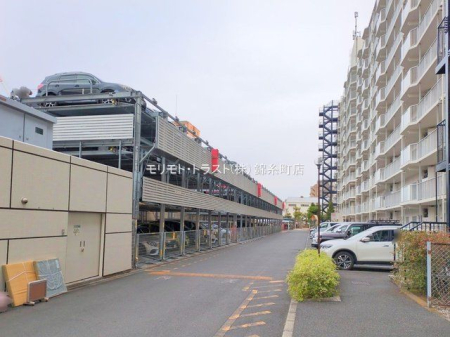 ���n�O�ώʐ^ �B�e��(2024-12-13 00:00:00)