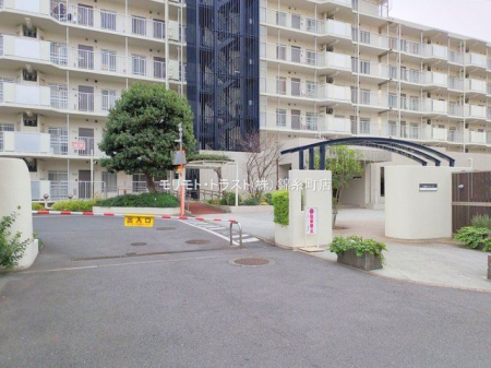 ���n�O�ώʐ^ �B�e��(2024-12-13 00:00:00)