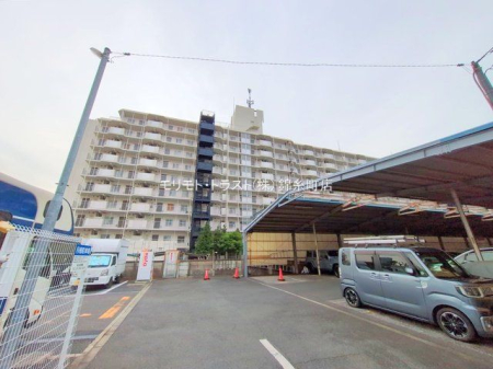 ���n�O�ώʐ^ �B�e��(2024-12-13 00:00:00)