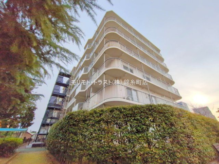 ���n�O�ώʐ^ �B�e��(2024-12-13 00:00:00)