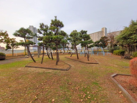 ���n�O�ώʐ^ �B�e��(2024-12-13 00:00:00)