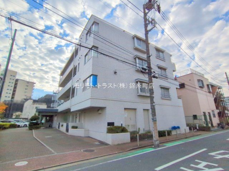 ���n�O�ώʐ^ �B�e��(2024-11-26)