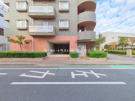 ���n�O�ώʐ^ �B�e��(2024-11-26 00:00:00)