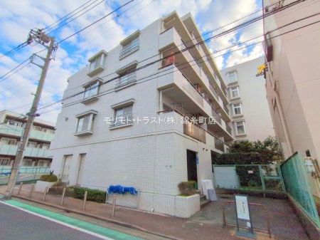 ���n�O�ώʐ^ �B�e��(2024-11-26)