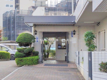 �G���g�����X �B�e��(2024-11-26)