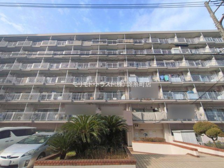 ���n�O�ώʐ^ �B�e��(2026-02-17 00:00:00)